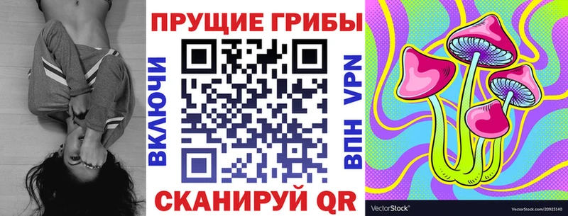 купить наркотик  Омутнинск  Псилоцибиновые грибы Cubensis 